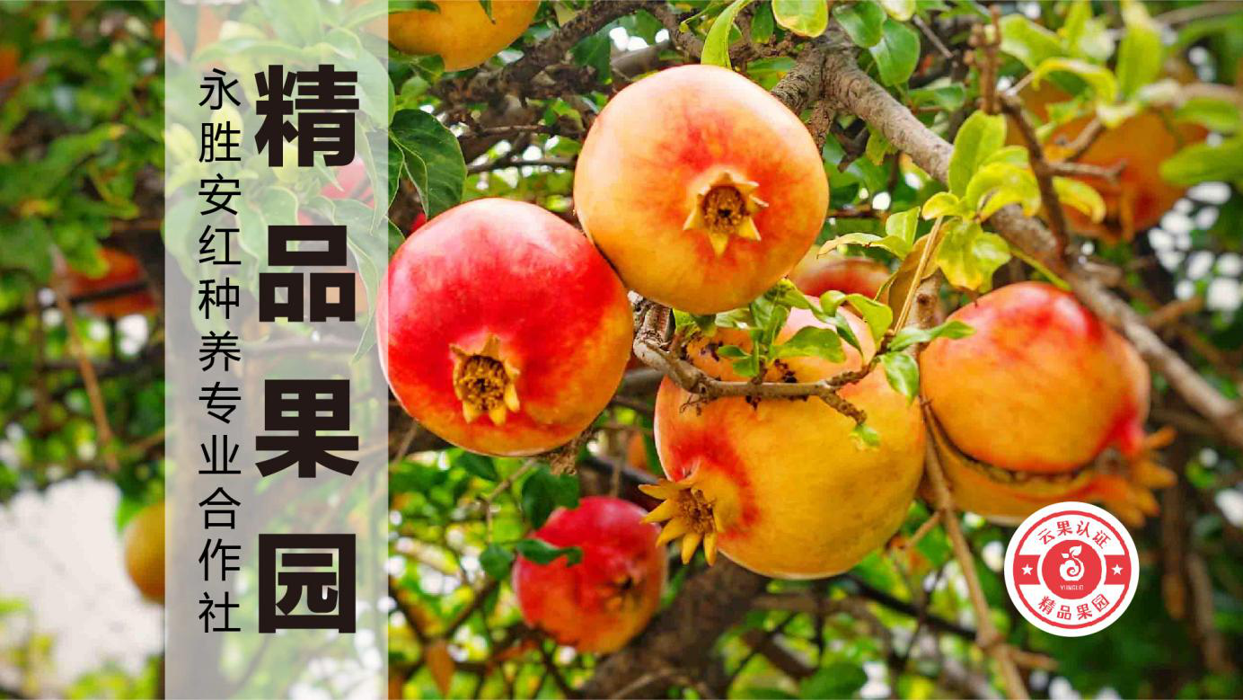 1627463690803899.png 图片1.png