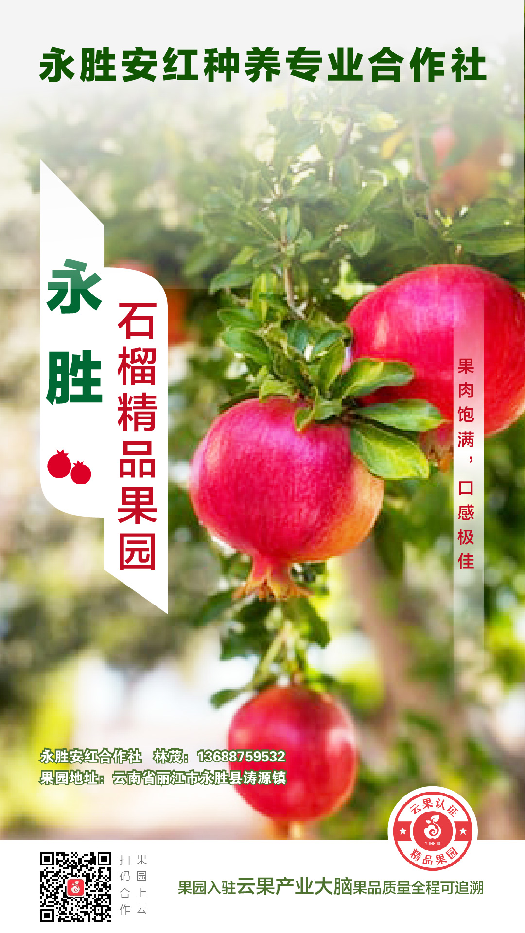 1627548507671953.jpg 安红海报.jpg